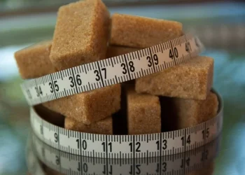 ¿Cuántas calorías necesita el cuerpo humano cada día?