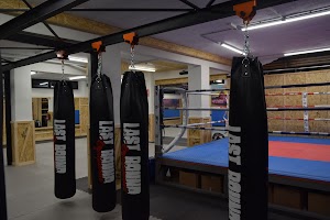 Alpha Evolution place picture